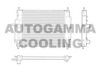 AUTOGAMMA 103192 Radiator, engine cooling